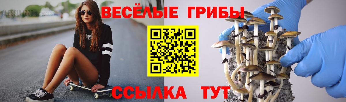 что такое   Псилоцибиновые грибы MAGIC MUSHROOMS  Вход с VPN  Уварово 